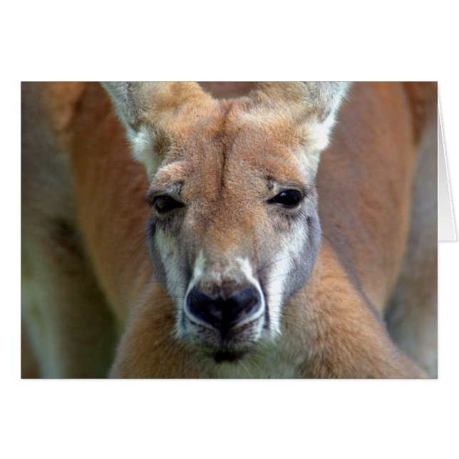 weggehen (Vorderseite (Horizontal))