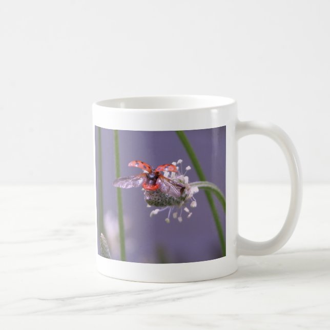 WegZuhause der Fliege Kaffeetasse (Rechts)