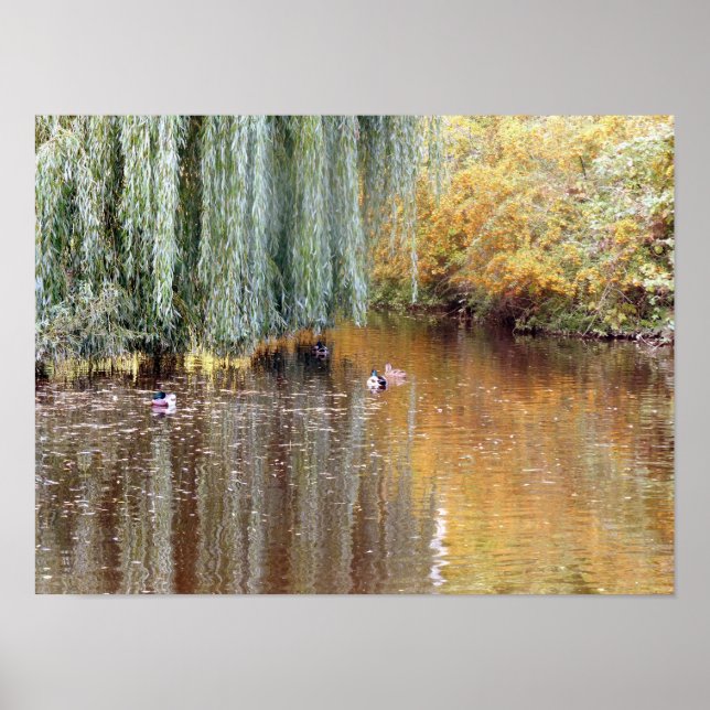 Wehe Willow Reflection Poster (Vorne)