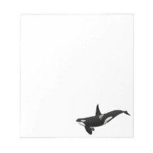Weibchen aus schwarzem und weißem Orca Killer