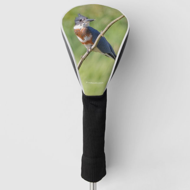 Weiblich gezogener Kingfisher Ausgesteift an der L Golf Headcover (Vorderseite)