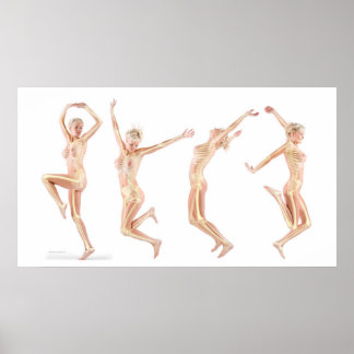 weibliche Anatomie Poster