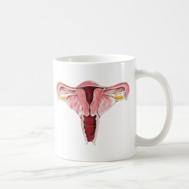 Weibliche Fortpflanzungszyklus-Tasse Kaffeetasse (Rechts)