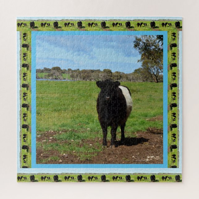 weibliche Galloway-Kuh, (Vertikal)