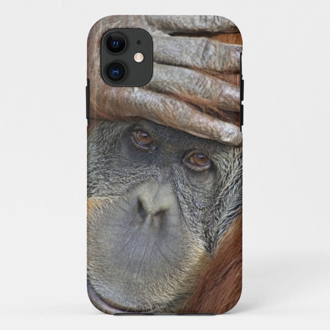 Weibliche Gefangene Sumatran Orangutan Case-Mate iPhone Hülle (Rückseite)