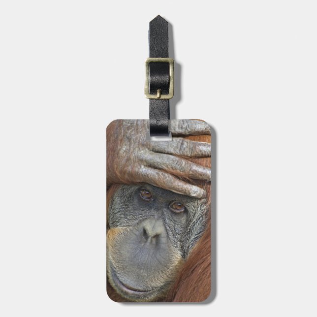 Weibliche Gefangene Sumatran Orangutan Gepäckanhänger (Vorderseite vertikal)