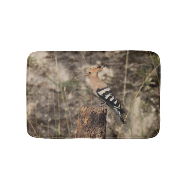Weibliche Hoopoe auf Trunk Badematte (Vorderseite)