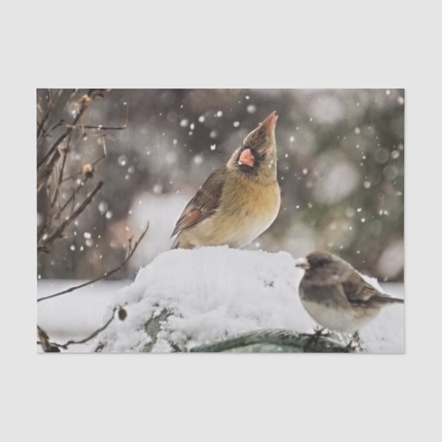 Weibliche Kardinal Vogelwelt Schnee Winter Seidenpapier (Vorderseite)