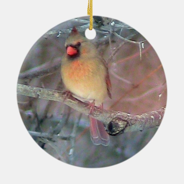 Weibliche Kardinals-Weihnachtsverzierung Keramikornament (Hinten)