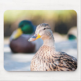 Weibliche Mallard Mousepad