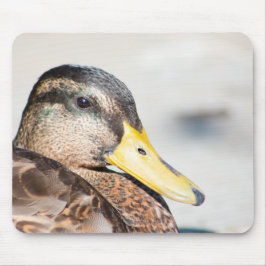 Weibliche Mallard Mousepad