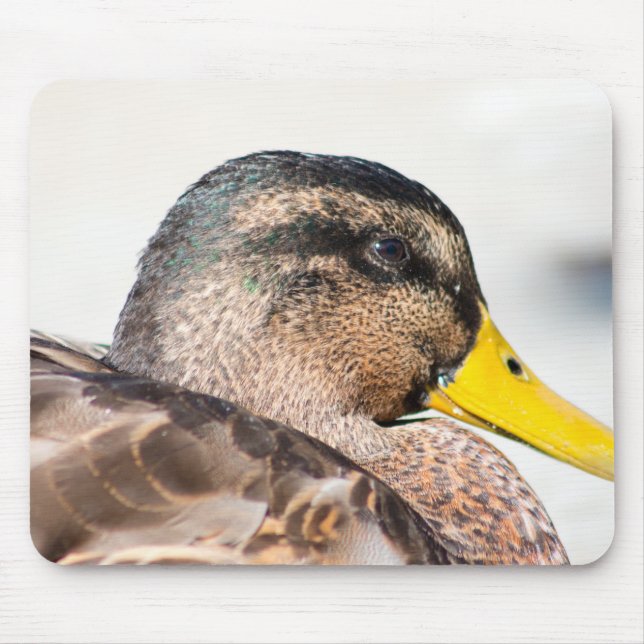 Weibliche Mallard Mousepad (Vorne)