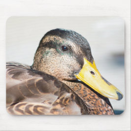 Weibliche Mallard Mousepad