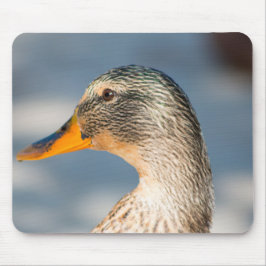 Weibliche Mallard Mousepad