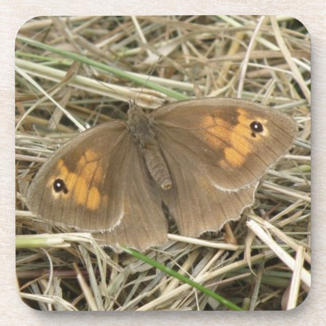 Weibliche Meadow Brown Butterfly Cork Untersetzer (Vorderseite)
