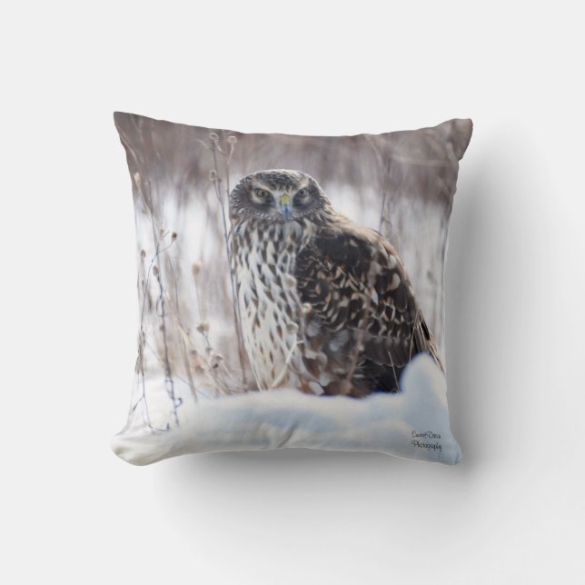 Weibliche Nördliche Harrier Kissen (Vorderseite)