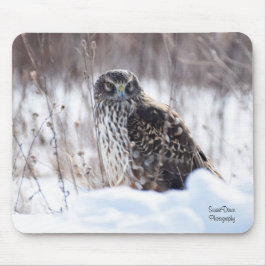 Weibliche Nördliche Harrier Mousepad