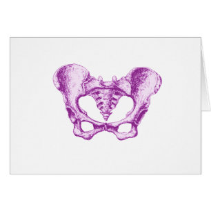 Weibliche Pelvis lila