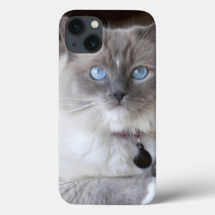 Weibliche Ragdoll-Katze Case-Mate iPhone Hülle