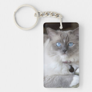 Weibliche Ragdoll-Katze Schlüsselanhänger