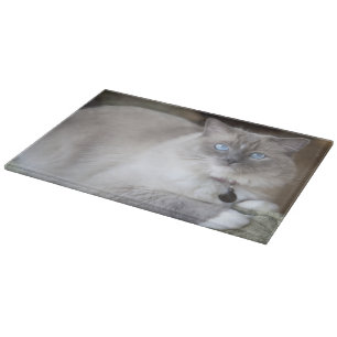 Weibliche Ragdoll-Katze Schneidebrett