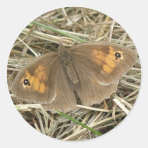 Weibliche Schmetterlingskleber für die Weidenwiese Runder Aufkleber