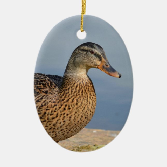 Weibliche Stockenten-Ente Keramikornament (Vorne)