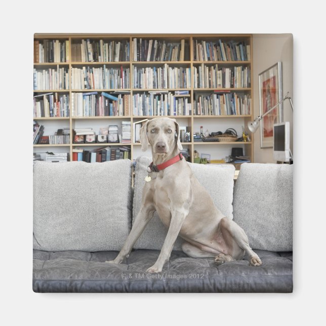 Weibliche Tiere Magnet (Vorne)