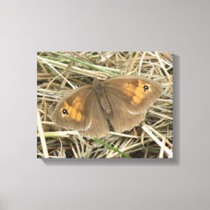 Weibliche Wiese Brown Butterfly Canvas Print Leinwanddruck