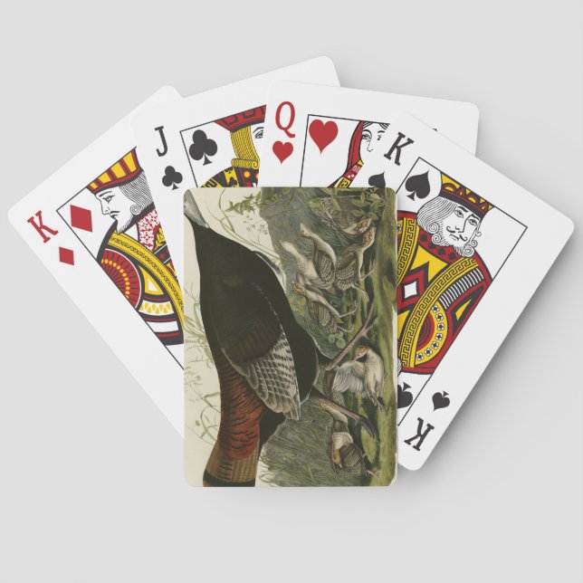 Weibliche wilde Türkei aus Audubons Vögeln in Amer Spielkarten (Rückseite)