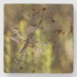 Weibliche Witwe Skimmer Dragonfly Steinuntersetzer