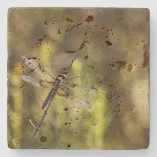 Weibliche Witwe Skimmer Dragonfly Steinuntersetzer
