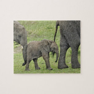 Weiblicher Afrikanischer Elefant mit Baby
