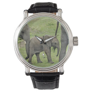 Weiblicher Afrikanischer Elefant mit Baby Armbanduhr