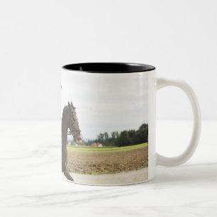 weiblicher Dressagereiter, der 2 ausübt Zweifarbige Tasse