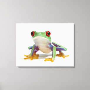 Weiblicher Frosch 2 Leinwanddruck