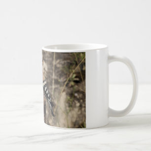 Weiblicher Hoopoe auf Stamm Kaffeetasse