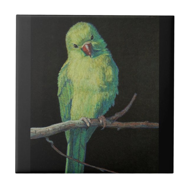 Weiblicher Inder Ringneck Papagei Fliese (Vorderseite)