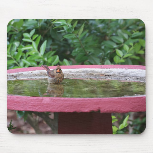 Weiblicher Kardinal in Birdbad Mousepad (Vorne)