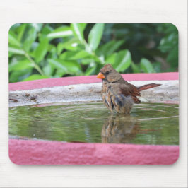 Weiblicher Kardinal in Birdbad Mousepad