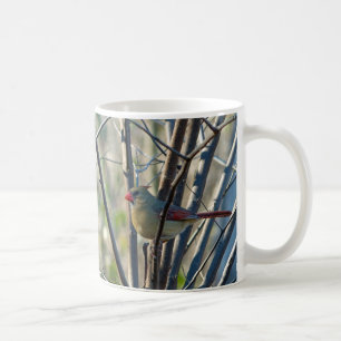 Weiblicher Kardinal Kaffeetasse