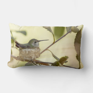 Weiblicher Kolibri auf ihrem Nest Lendenkissen