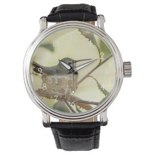 Weiblicher Kolibri auf seinem Nest Armbanduhr