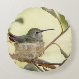 Weiblicher Kolibri auf seinem Nest Rundes Kissen