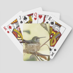 Weiblicher Kolibri auf seinem Nest Spielkarten
