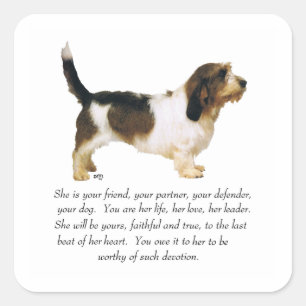 Weiblicher Petit Basset Griffon Vendéen Quadratischer Aufkleber