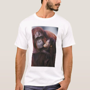 Weiblicher Sumatranischer Orang-Utan mit Baby, Pon T-Shirt