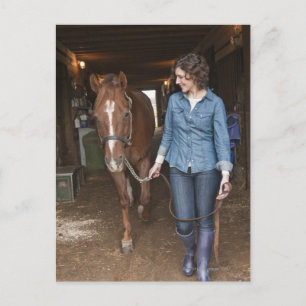 weibliches Führungspferd Postkarte