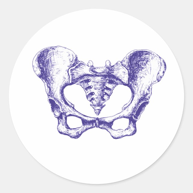 Weibliches Pelvis-Blau Runder Aufkleber (Vorderseite)