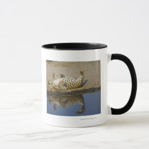 Weibliches Rollen des Leoparden (Panthera pardus) Tasse